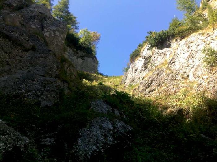 /vmorar/08092012097-800x600.jpg
