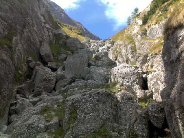 /vmorar/08092012116-800x600.jpg