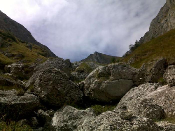 /vmorar/08092012121-800x600.jpg