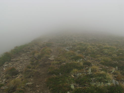 /fagaras_mi_e_dor/ceatadupazarnajpg.jpg