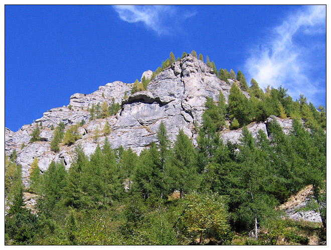 /bucegi12d/bucegi12d_05.jpg