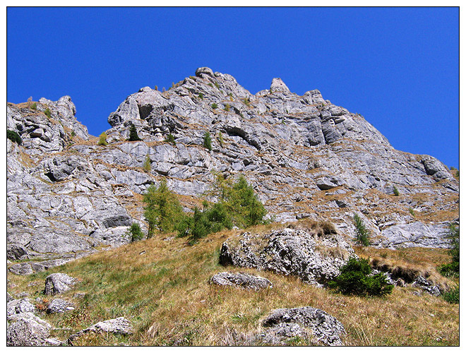 /bucegi12d/bucegi12d_07.jpg