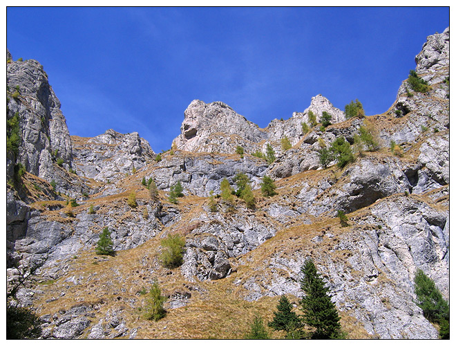 /bucegi12d/bucegi12d_15.jpg