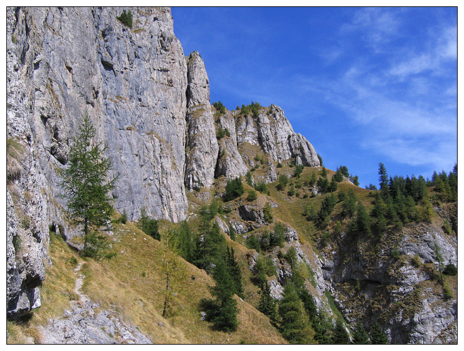 /bucegi12d/bucegi12d_16.jpg