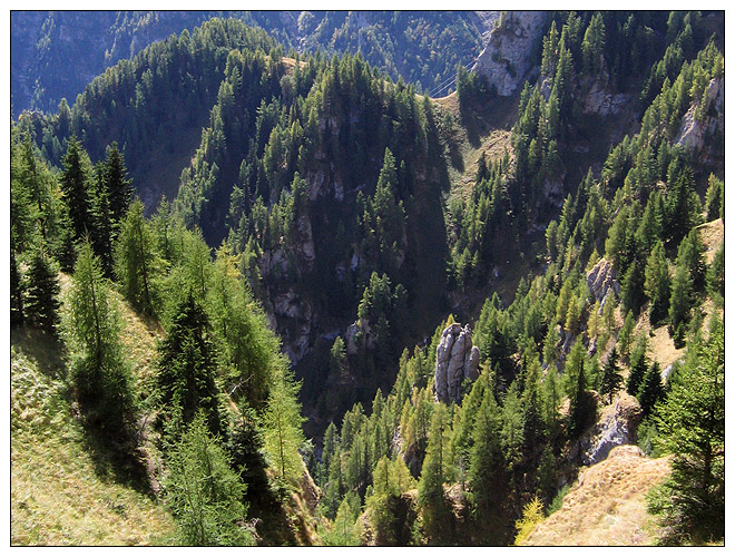 /bucegi12d/bucegi12d_19.jpg