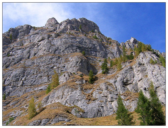 /bucegi12d/bucegi12d_30.jpg