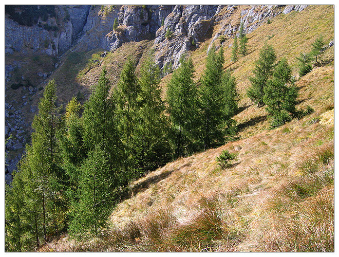 /bucegi12d/bucegi12d_33.jpg