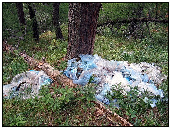 /bucegi13d/bucegi13d_38a.jpg