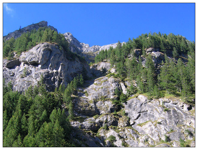 /bucegi14e/bucegi14e_38.jpg