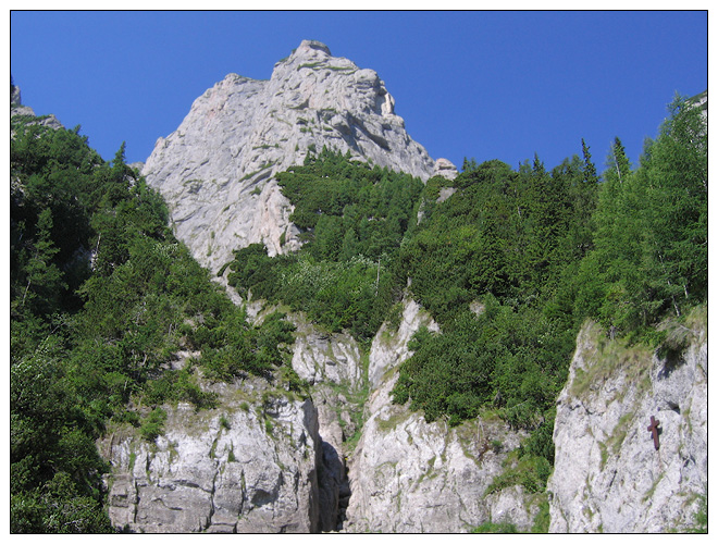 /bucegi15b/bucegi15b_09.jpg