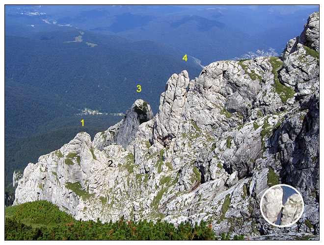 /bucegi15b/bucegi15b_38.jpg