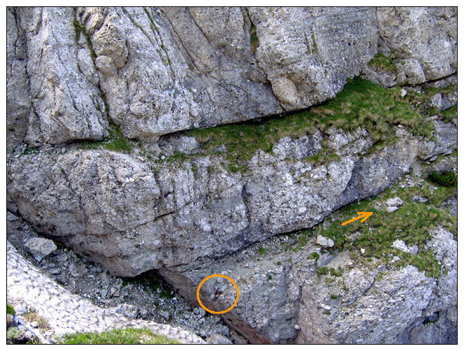 /bucegi15b/bucegi15b_40.jpg