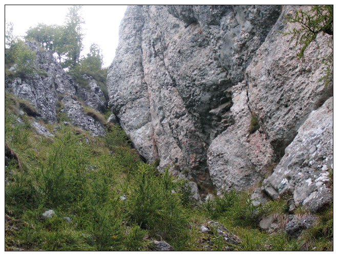 /bucegi16f/bucegi16f_09.jpg