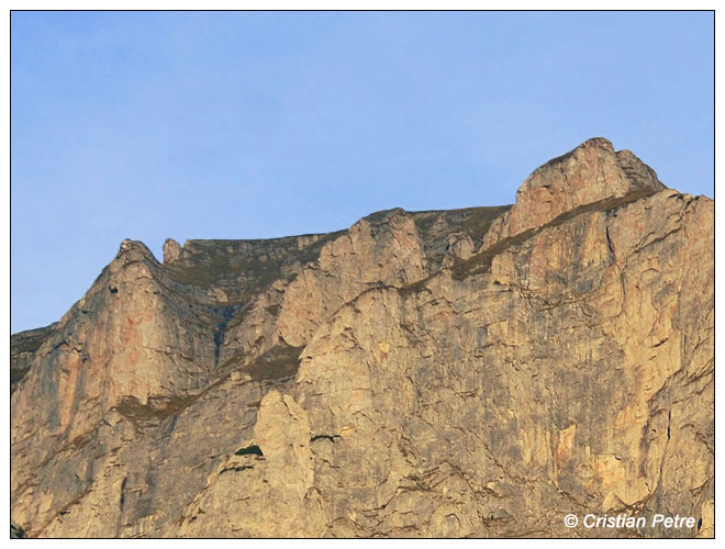 /bucegi16g/bucegi16g_01.jpg
