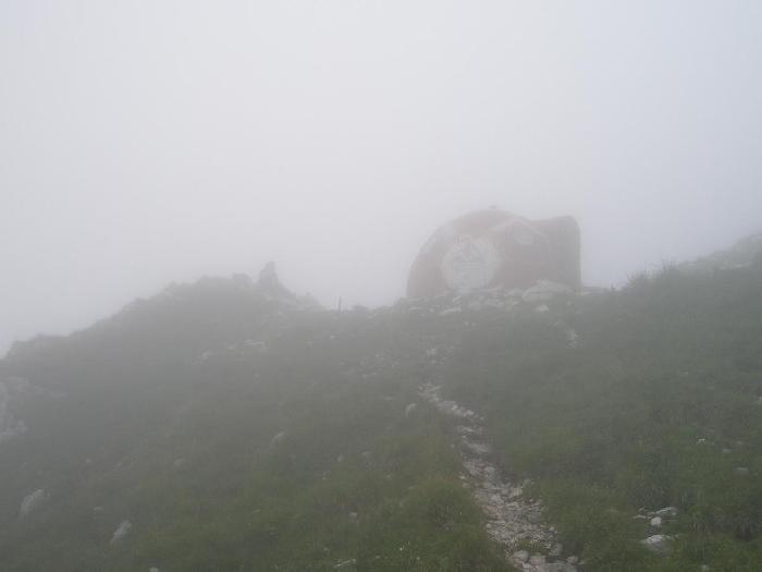 /Creasta/p7270289.jpg
