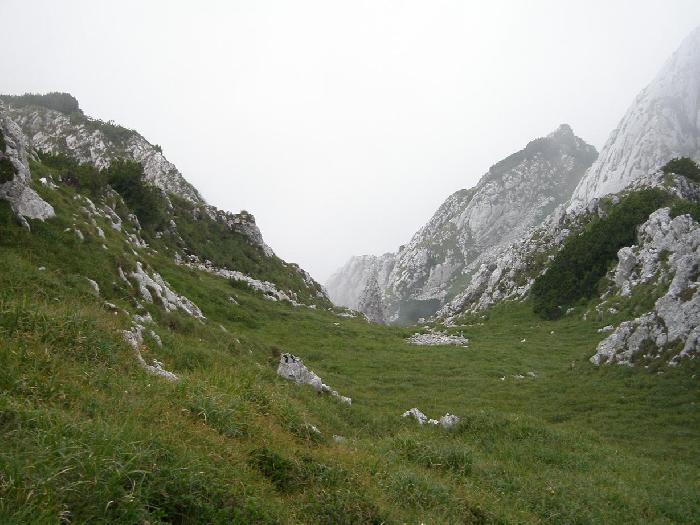 /Creasta/p7270299.jpg