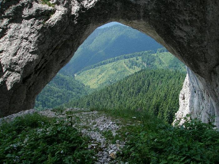 /Creasta/p7280385.jpg