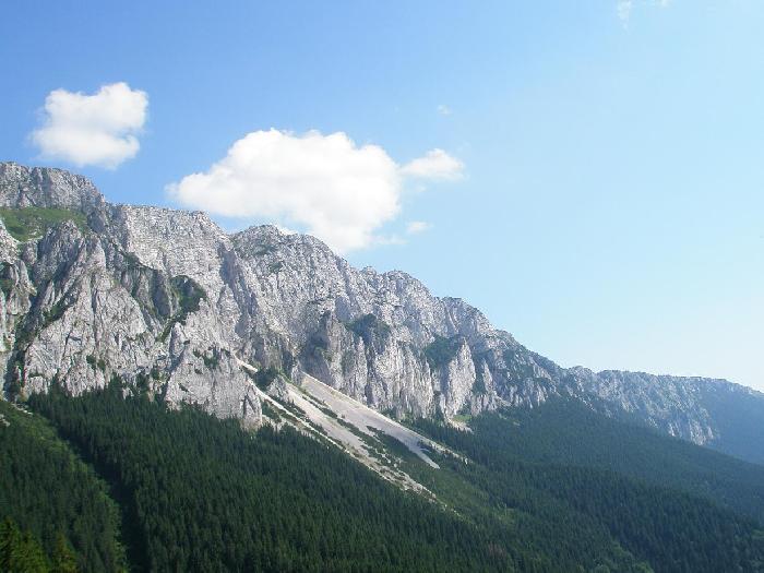 /Creasta/p7280399.jpg