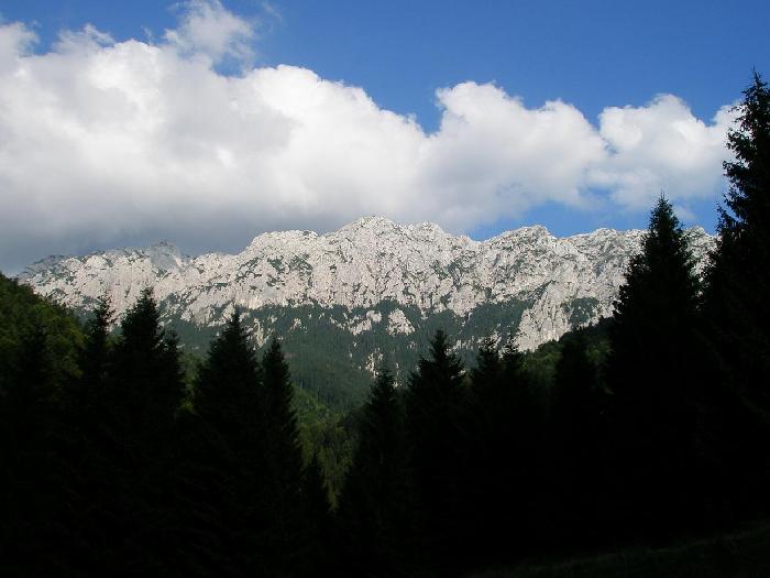 /Creasta/p7280402.jpg